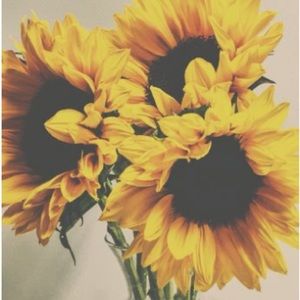 Meet your Posher, Gracie